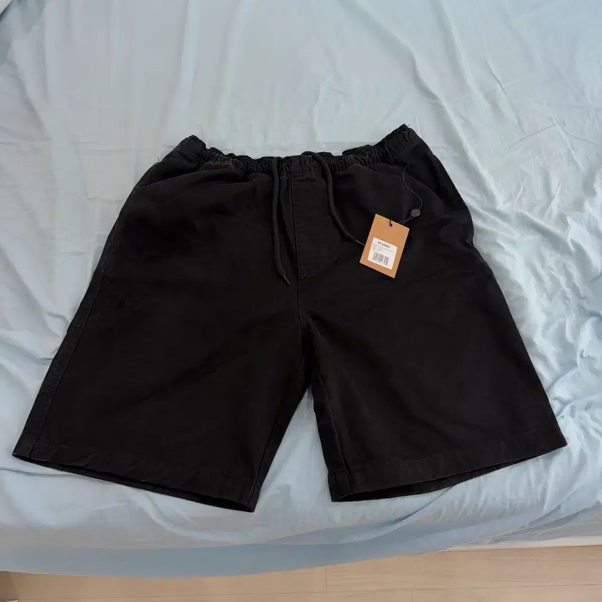 L STUSSY ステューシー ブラッシュド ビーチ ショーツ ブラック
