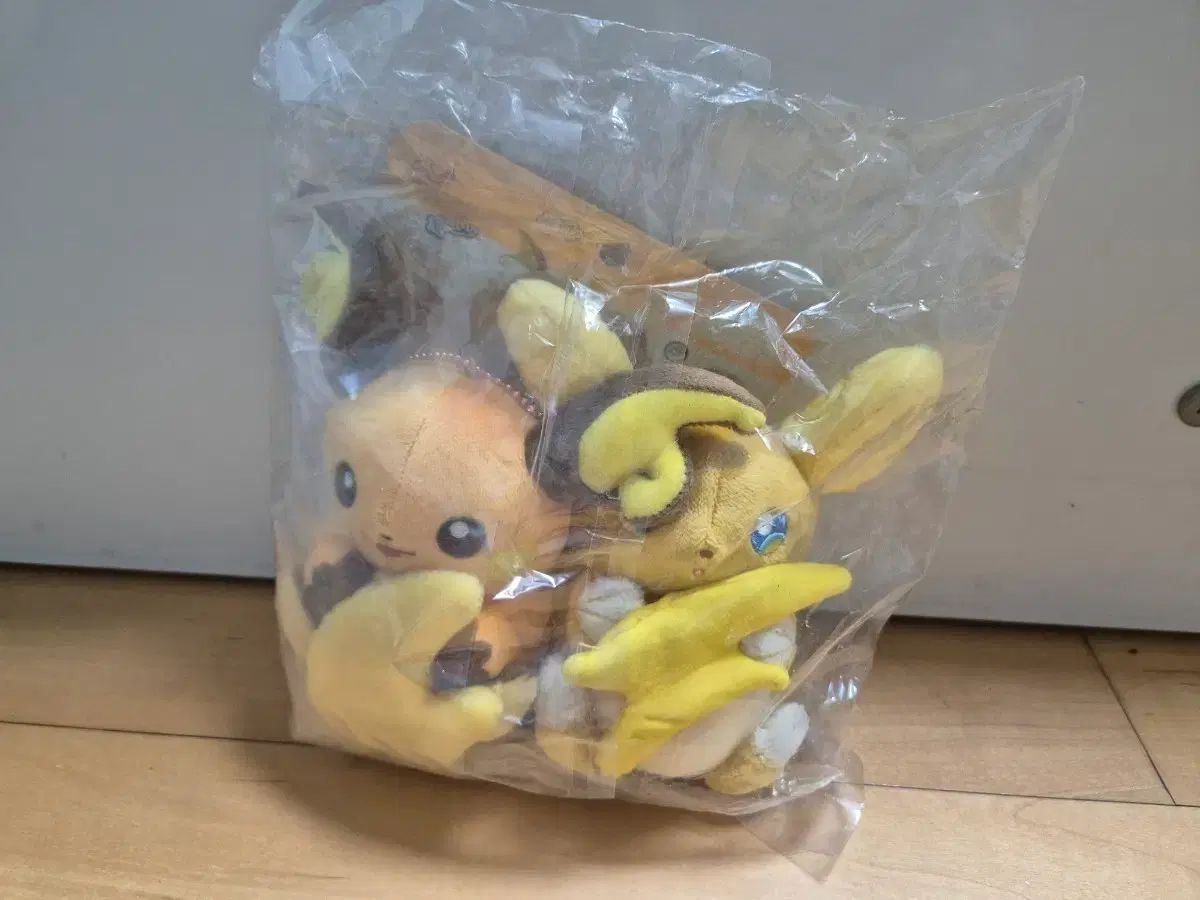 ポケットモンスター 君と僕 ライチュウ ぬいぐるみ 2個 セット