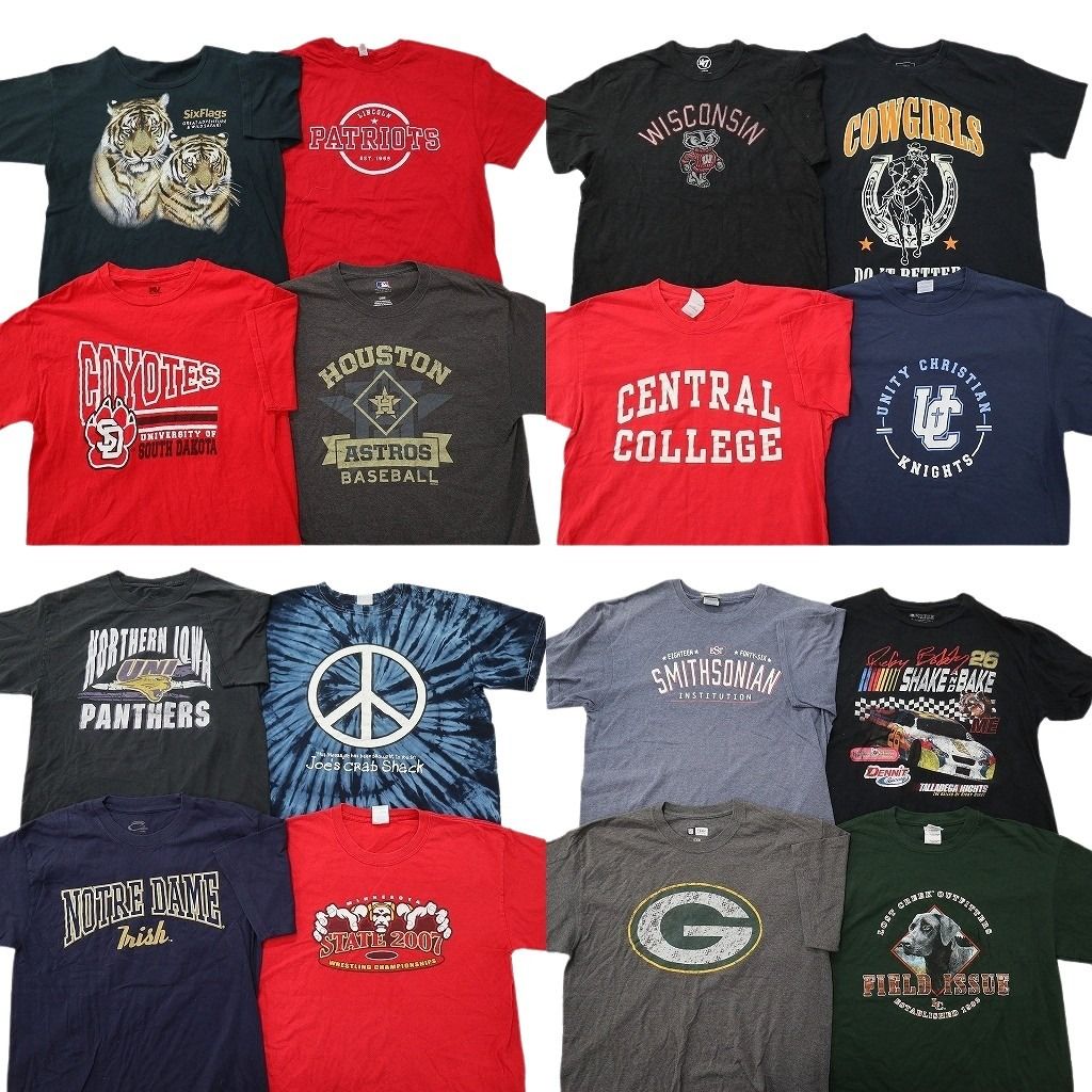 古着卸 まとめ売り プリント Tシャツ 16枚セット ( メンズ L ) アニマル 動物 レーシング プロチーム NFL パッカーズ 中古 古着 NF9507
