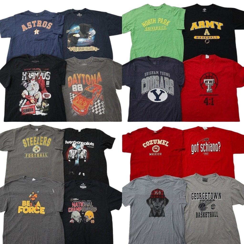 古着卸 まとめ売り プリント Tシャツ 16枚セット ( メンズ L/XL ) プロチーム MLB レーシング イーグル NFL 中古 古着 NF9520 13,578円