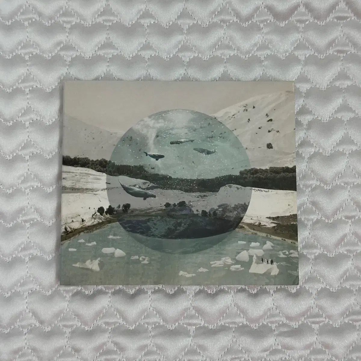 高密度 cd アルバム