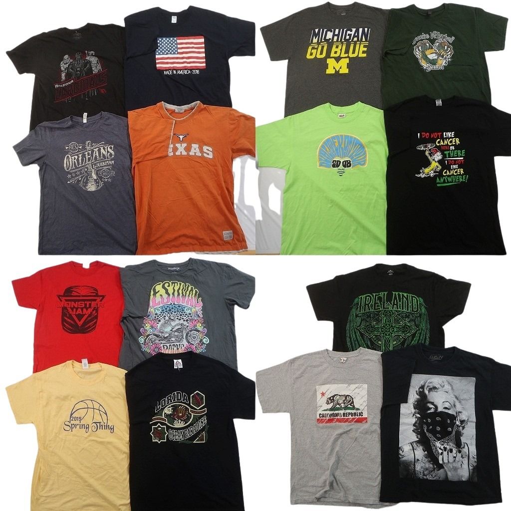 古着卸 まとめ売り プリント Tシャツ 15枚セット ( メンズ L ) アニマル マリリンモンロー 人物 大判プリント 星条旗 中古 古着 NF9351