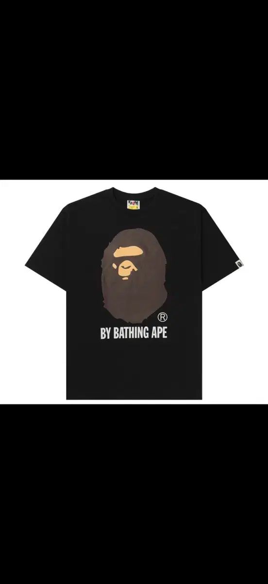 A BATHING APE アベイシングエイプの半袖の服と交換します 8,299円