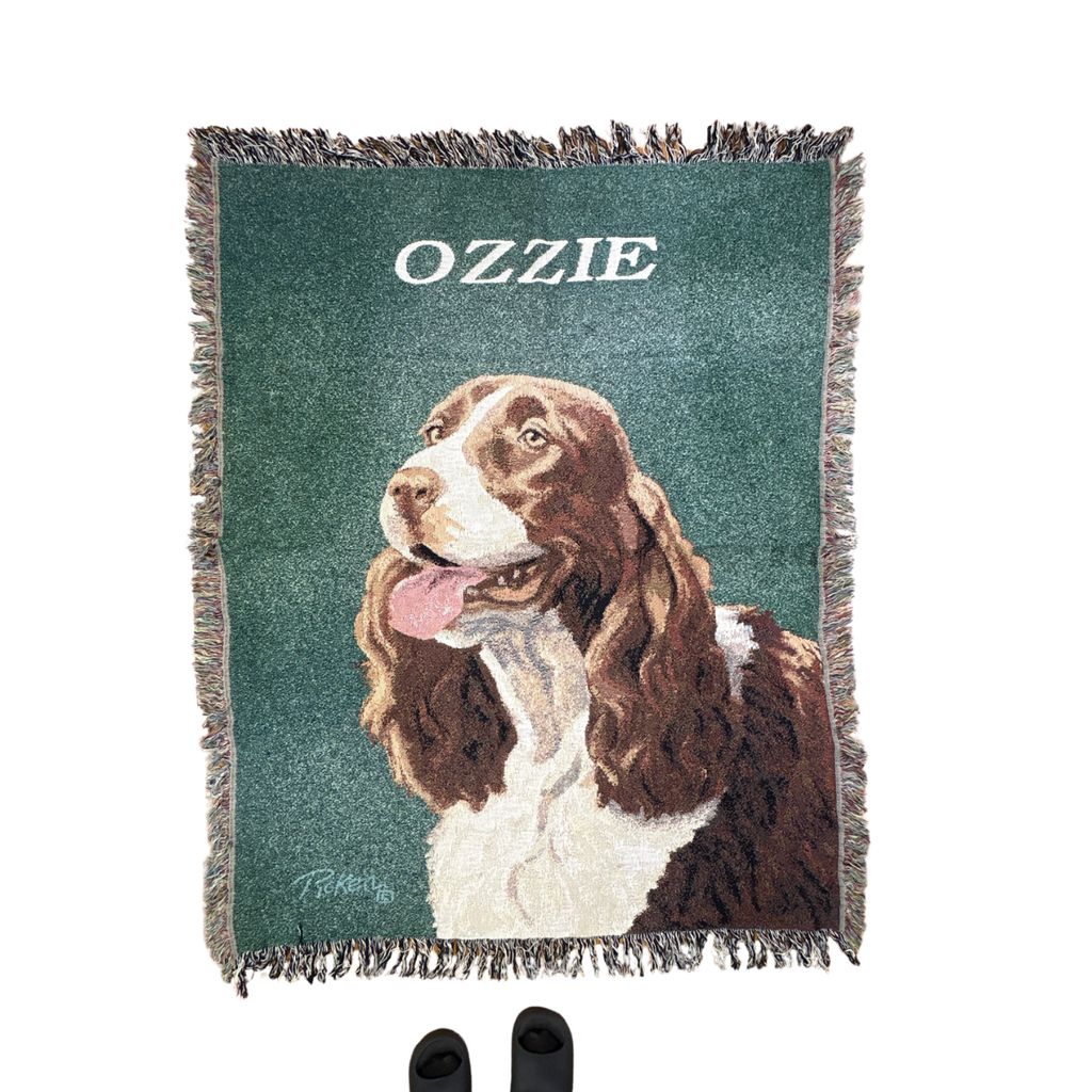 vintageラグ ブランケット マルチカバー タペストリー ドッグ 犬 アニマル スパニエル アート Rug Blanket Dog 3639