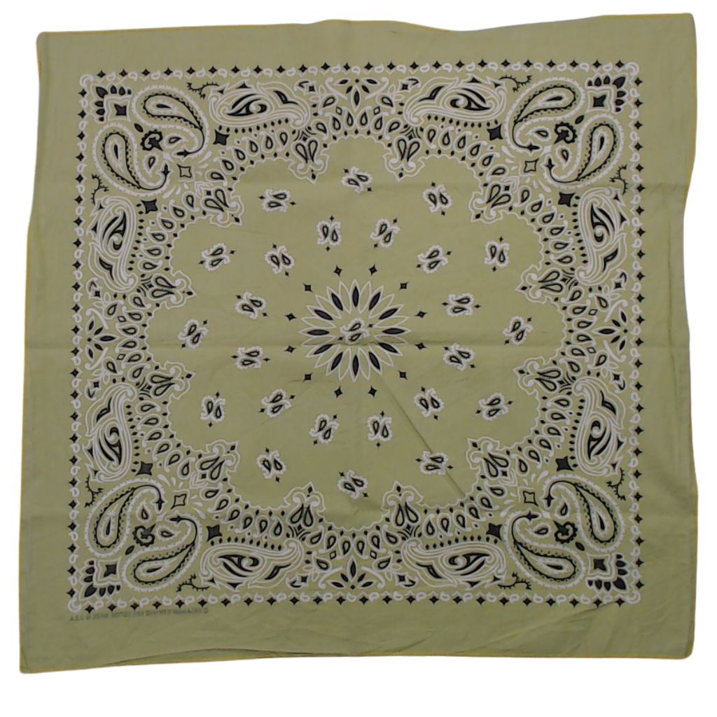 Vintage Bandana MADE IN USA 70s RN15187 HAV-A-HANK 2-tone Paisley