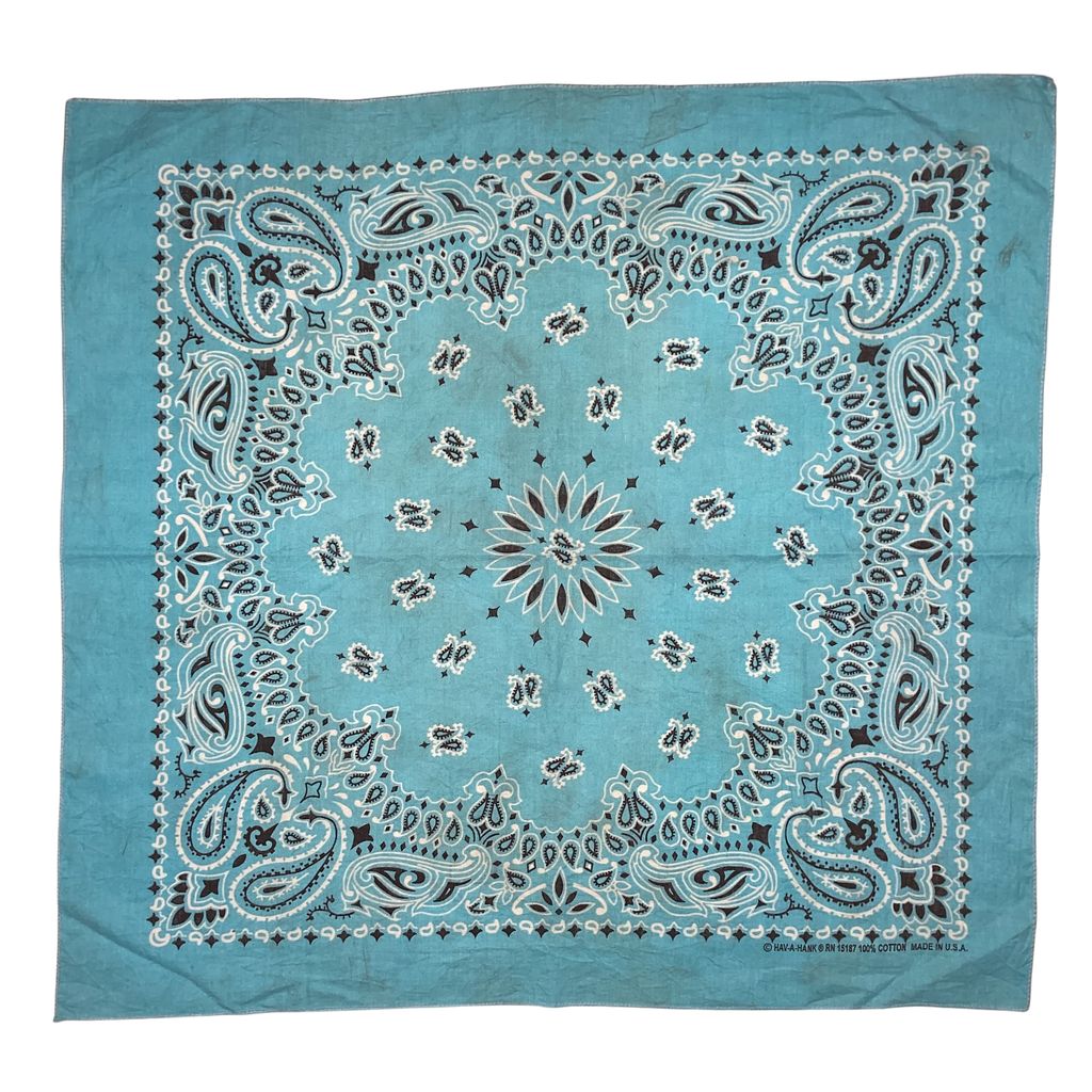 Vintage Bandana MADE IN USA 70s RN15187 HAV-A-HANK Paisley