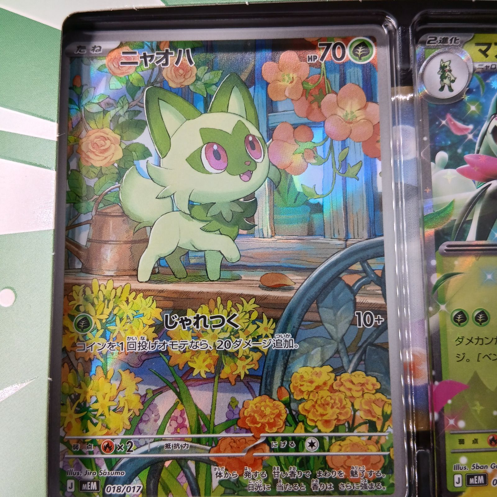 ポケモンカード MEGA スターターセットexニャオ&マスカーニャex5個入り ポケモンカードゲームMEGA スターターセットex「ニャオハ&マスカーニャ