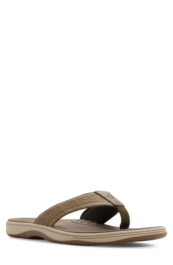 スペリー メンズ シューズ サンダル Sperry Havasu Thong Sandal Olive オリーブ
