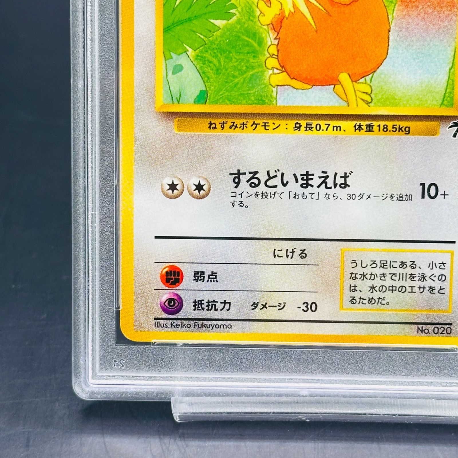 PSA8 ラッタ : 旧裏 [PMCG-P No.020](旧裏面 プロモーションカード