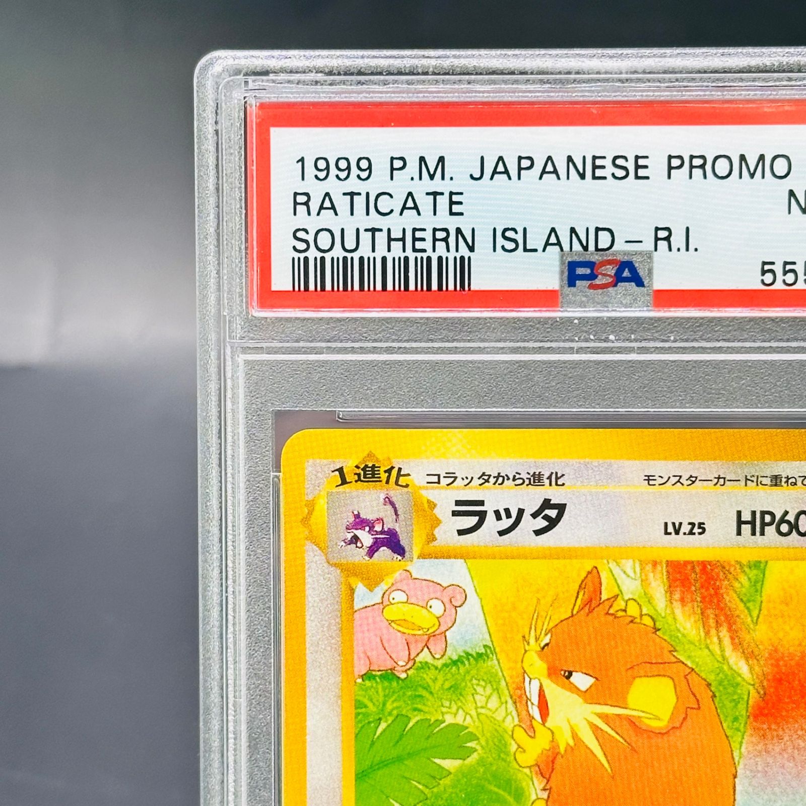 PSA8 ラッタ : 旧裏 [PMCG-P No.020](旧裏面 プロモーションカード
