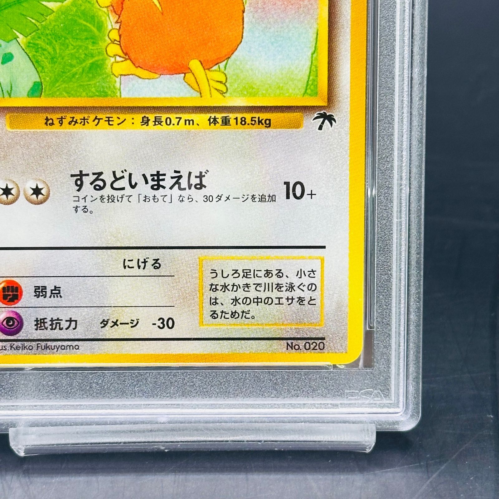 【美品】ラッタ : 旧裏 [PMCG-P No.020](サザンアイランド ) PSA8 ラッタ : 旧裏 [PMCG-P No.020](旧裏面 プロモーションカード