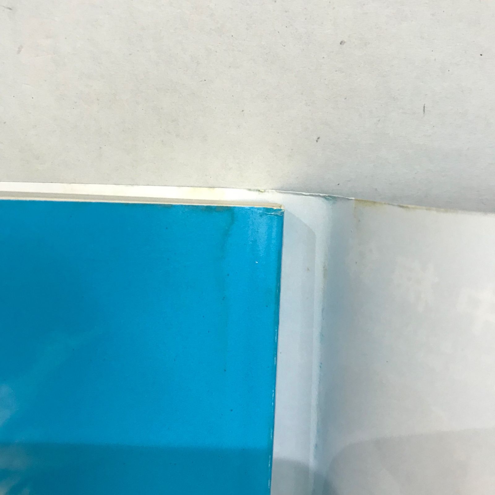 https://assets.mercari-shops-static.com/-/large/plain/2JUkmbyjsEgZwUQucpNZFt.jpg@jpg