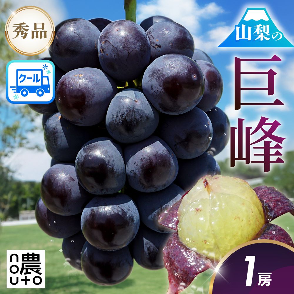 種なし巨峰 希少 甲州巨峰 山梨県産 秀品 500g - メルカリ