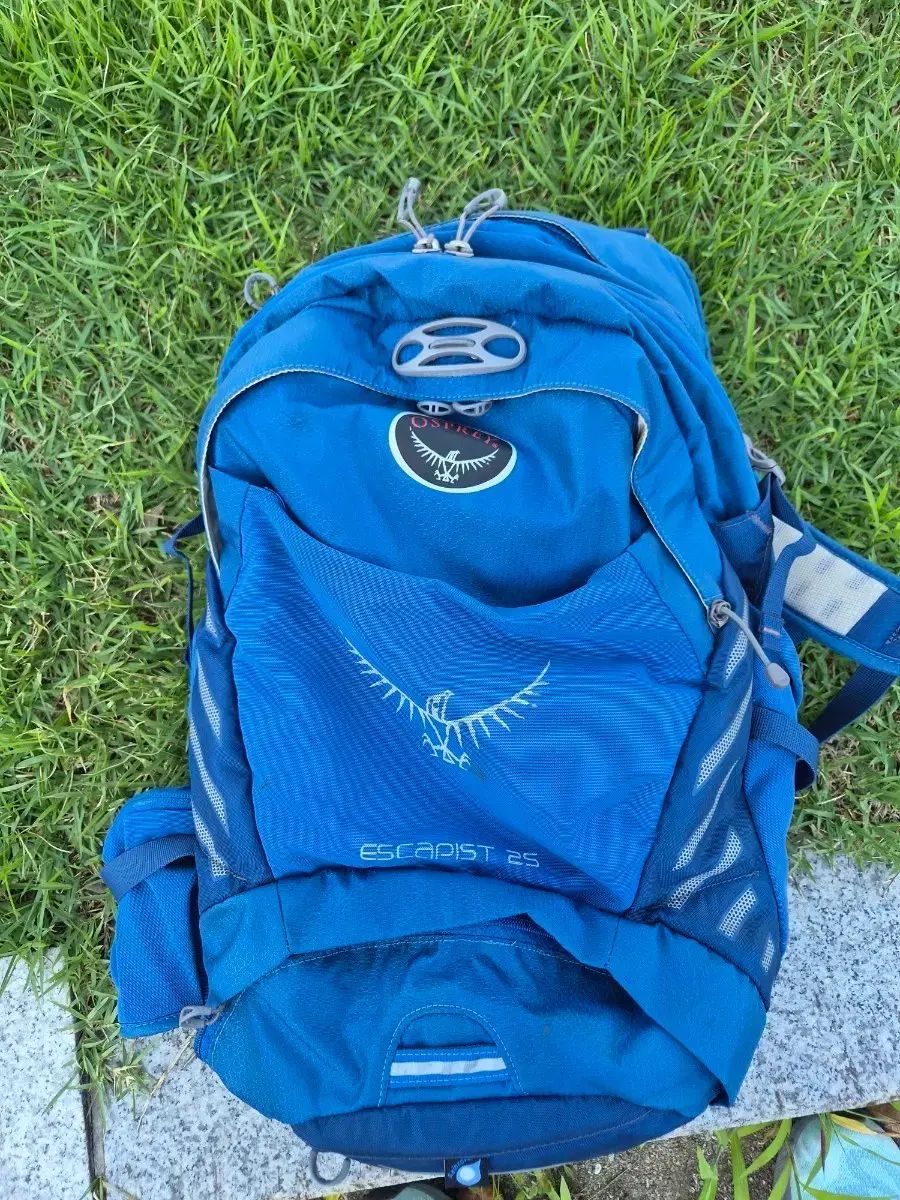 オスプレイ(OSPREY) エスケイピスト 25 登山 リュックサック ブルー Free!