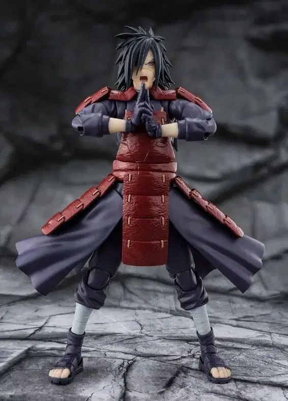 shf 三毛縞
