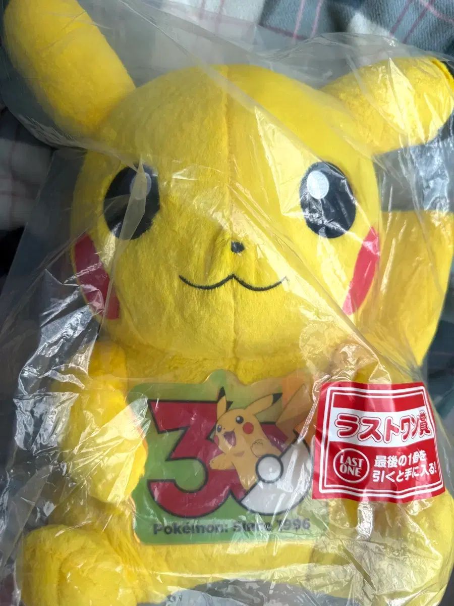 (サービスO) ポケットモンスター 30周年 一番くじ ラストワン ピカチュウ ぬいぐるみ