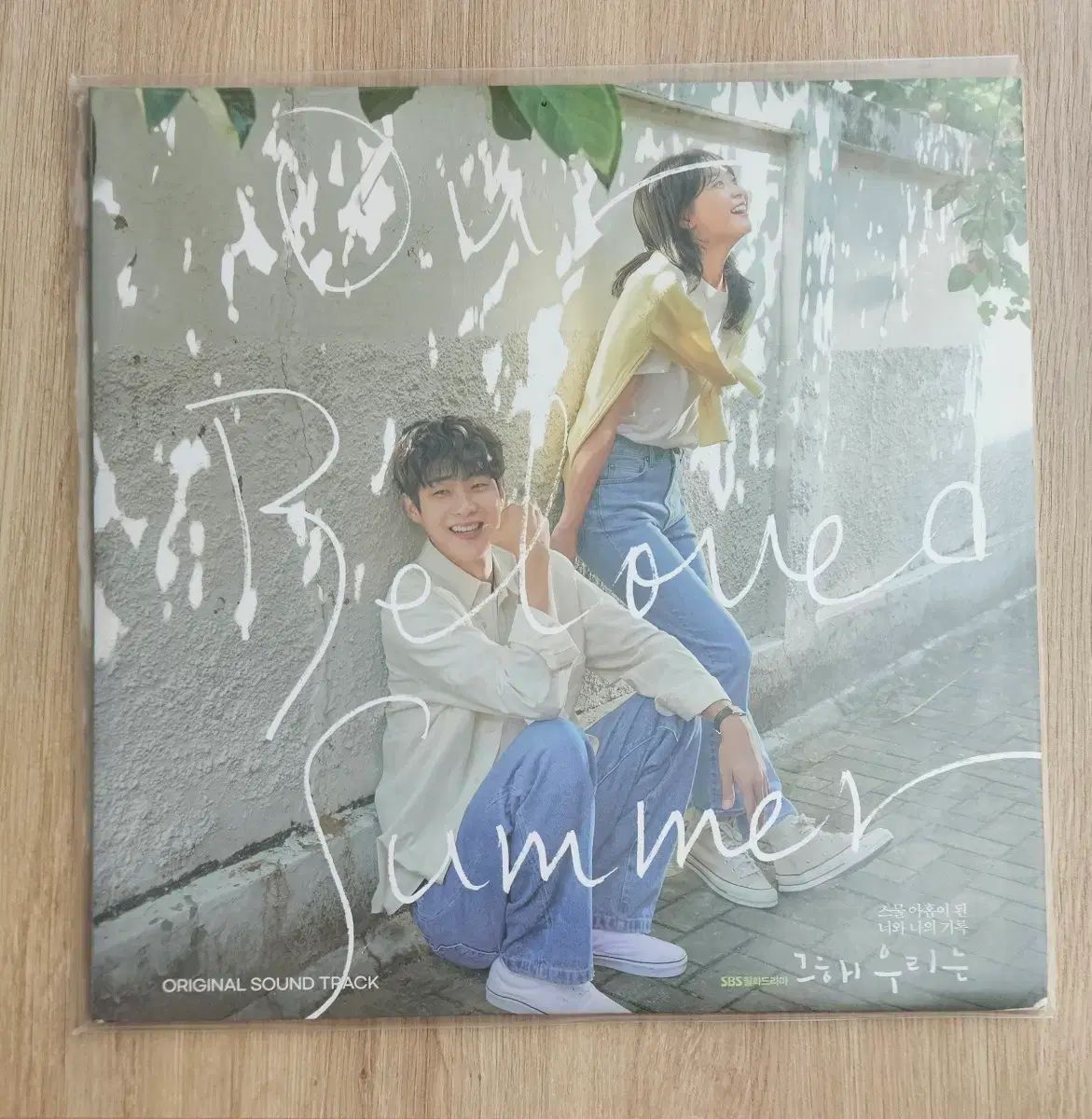 それら 損傷 私たち lp