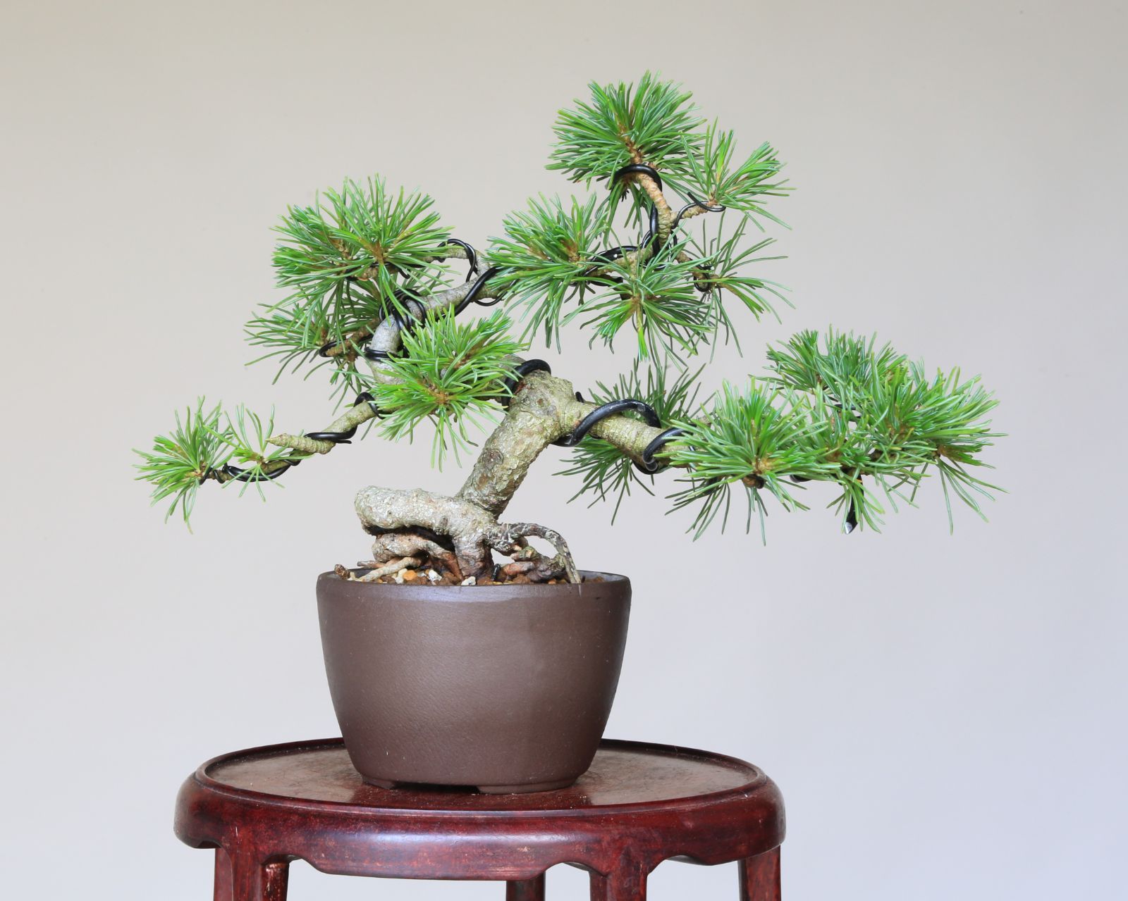 現品