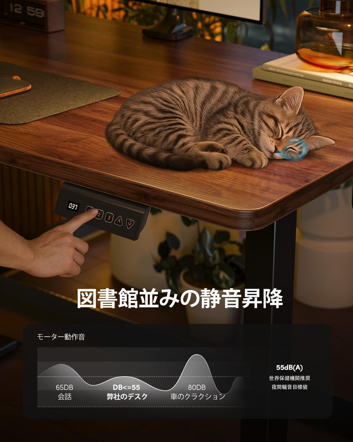 FEZIBO 電動 昇降デスク 一枚板 幅80cm オフィスワークテーブル