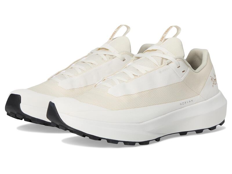 アークテリクス レディース シューズ スニーカー Arcteryx Norvan LD 4 GTX Arctic SilkArctic Silk 2