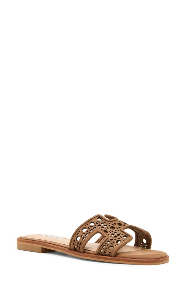 スティーブ マデン レディース シューズ サンダル Steve Madden Haydn Slide Sandal Women TAUPE NUBUCK トープ 21,520円