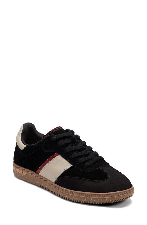 アース レディース シューズ スニーカー レザー Earth Penny Leather Sneaker Women BLACK ブラック 23,532円