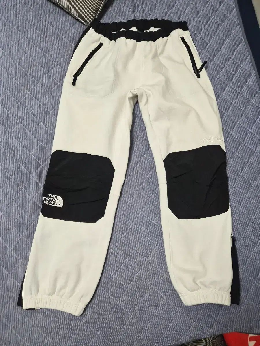 S/S 2016 シュプリーム x THE NORTH FACE ザノースフェイス スティープ テック パンツ サイズ large₍ラージ)