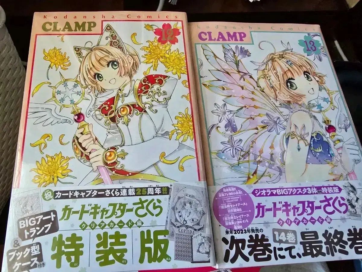 漫画 カードキャプター さくらんぼ サクラ 特装版 12 巻 新品
