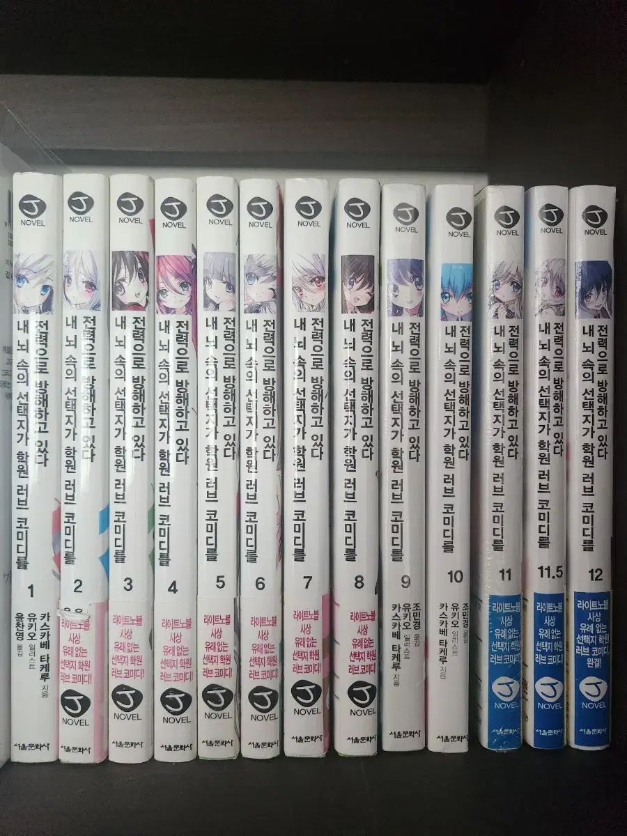 私 脳 中 選択肢 塾 LOVE コメディを 電力で 邪魔をして ある ライトノベル 1 - 12 巻 （ノウコメ）