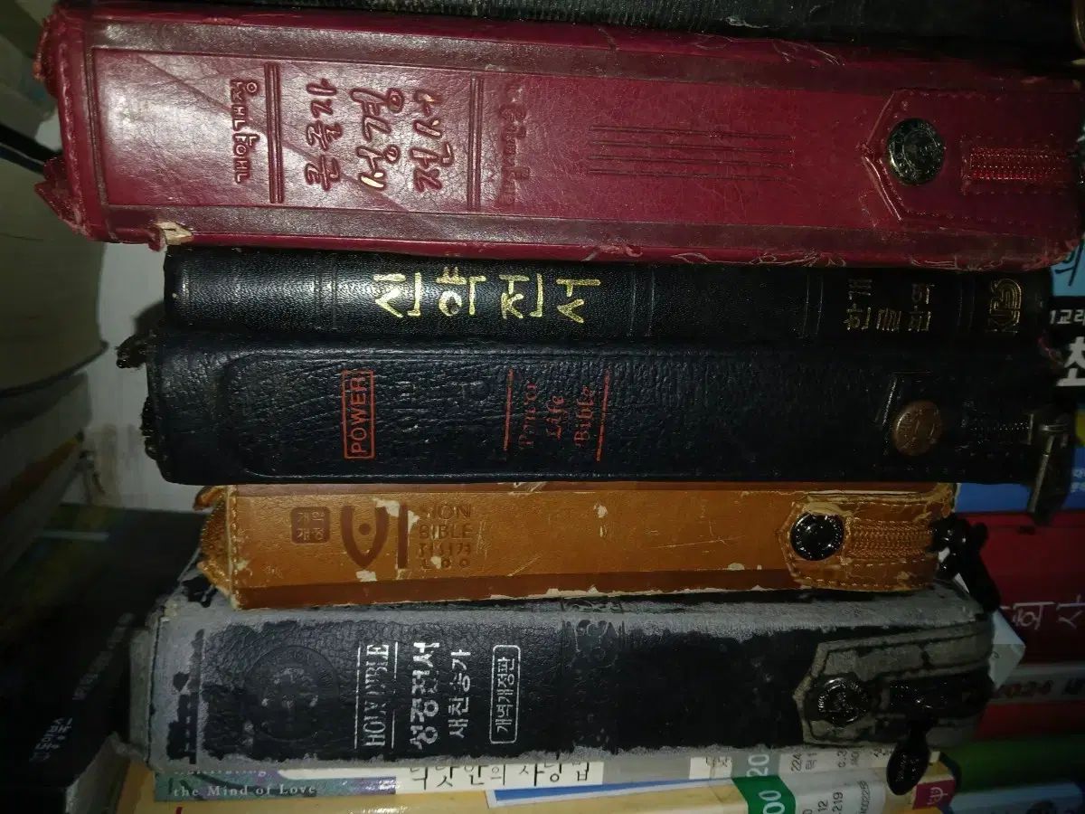 様々な聖書まとめ売り5巻 出品 内装スタイリッシュなものが多い 11,913円