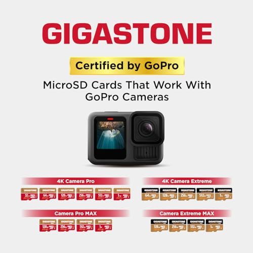 【5年保証 】GIGASTONE マイクロSDカード 32GB 2個セット A2 V30 UHS-I U3 Class 10 95/35 MB/S アクションカメラ スポーツカメラ 4K Ultra HD 動画 SD変換アダプタ付き ミニ収納 316d90ab