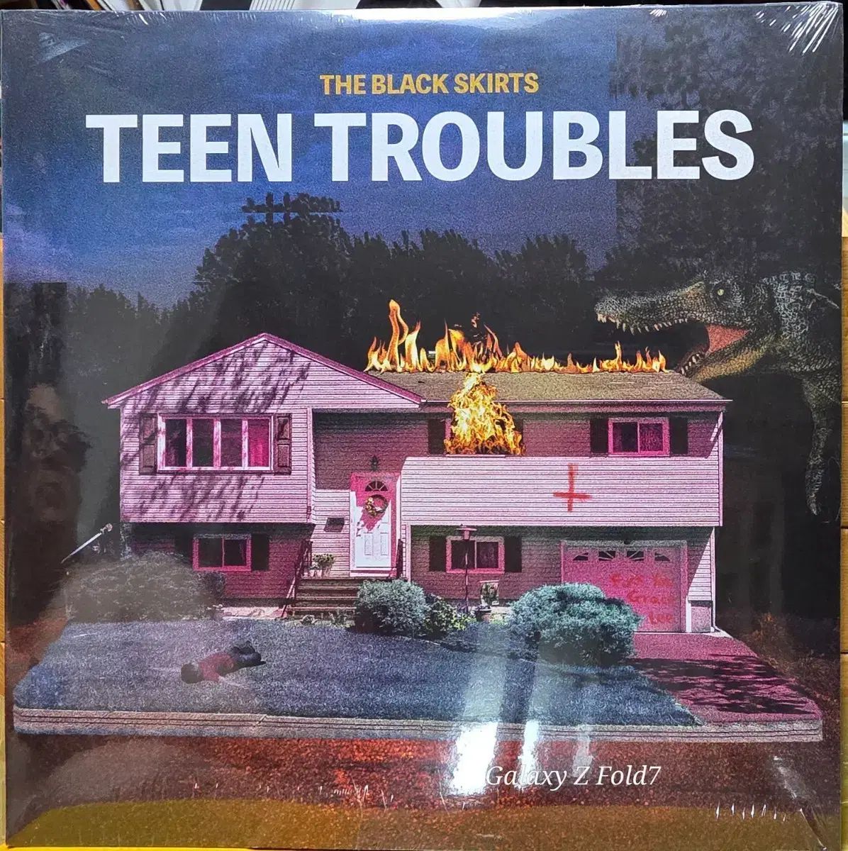 BA ー 670 未開封 もっと 黒 スカート TEEN TROUBLES LP