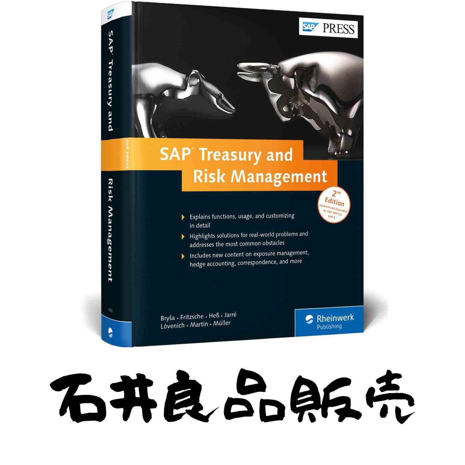 Sap Treasury and Risk Management [ハードカバー] Brya, Rudolf? Fritzsche, Thomas? Hess, Markus? Jarr?, Soenke; Loevenich…