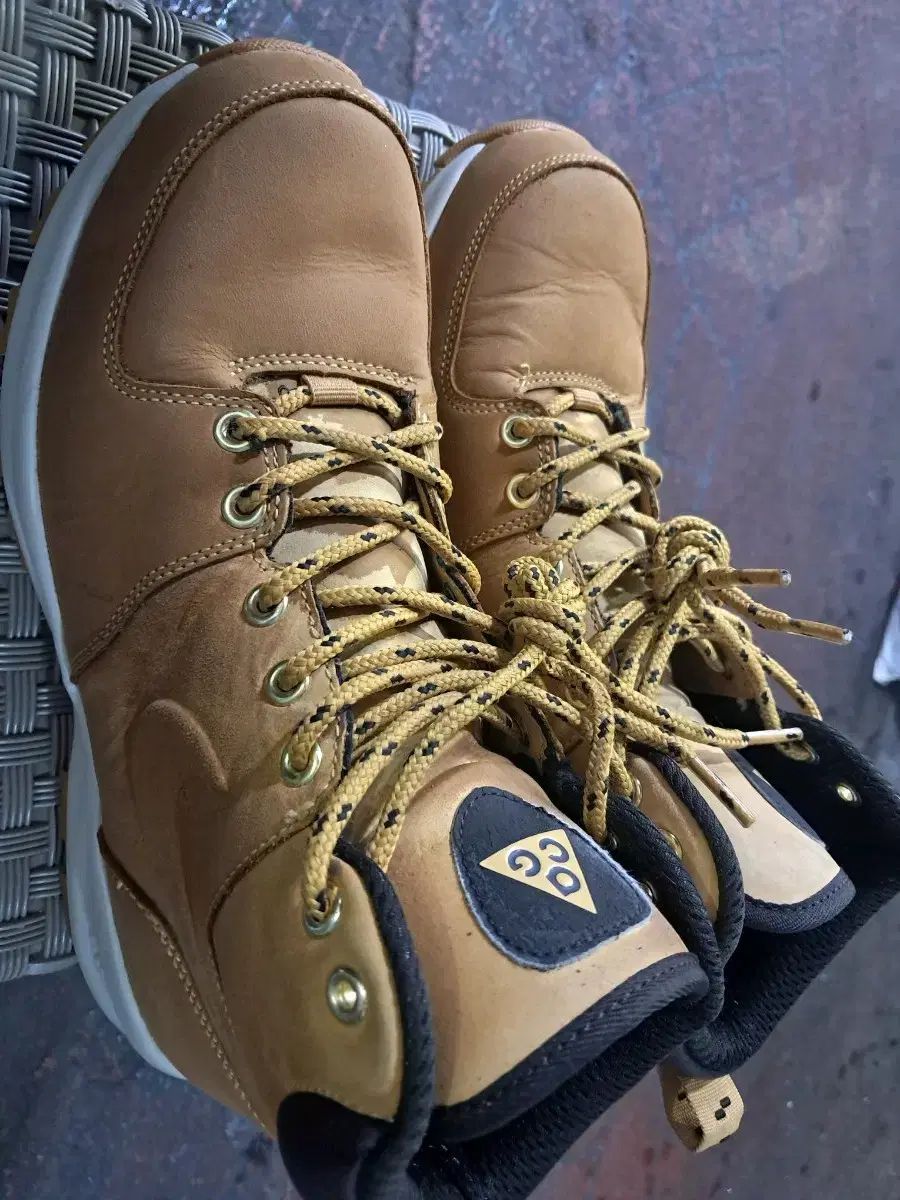 ナイキ ACG ブーツ 8 255