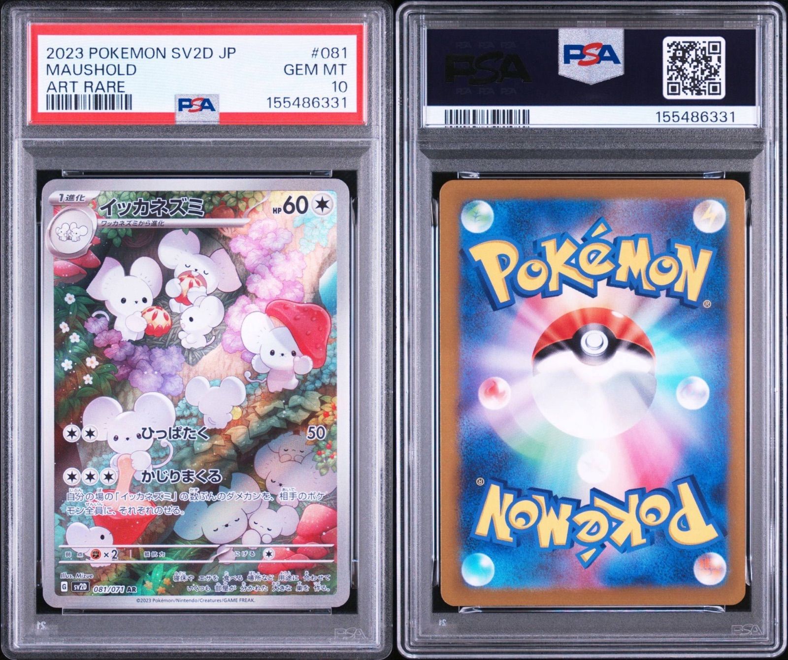 イッカネズミ AR PSA10