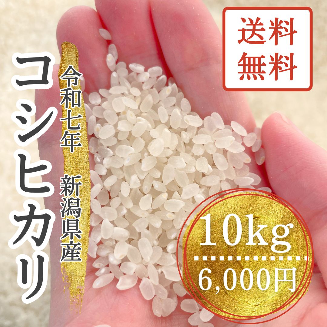 令和7年産 新潟県産コシヒカリ 10kg 玄米 - メルカリ