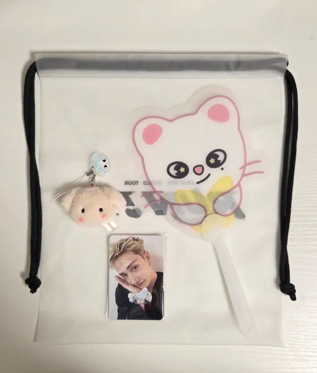 Stray Kids(ストレイキッズ・スキズ・SKZ) 入場 フォトセット PHOTO SET / キーホルダー / うちわ まとめ