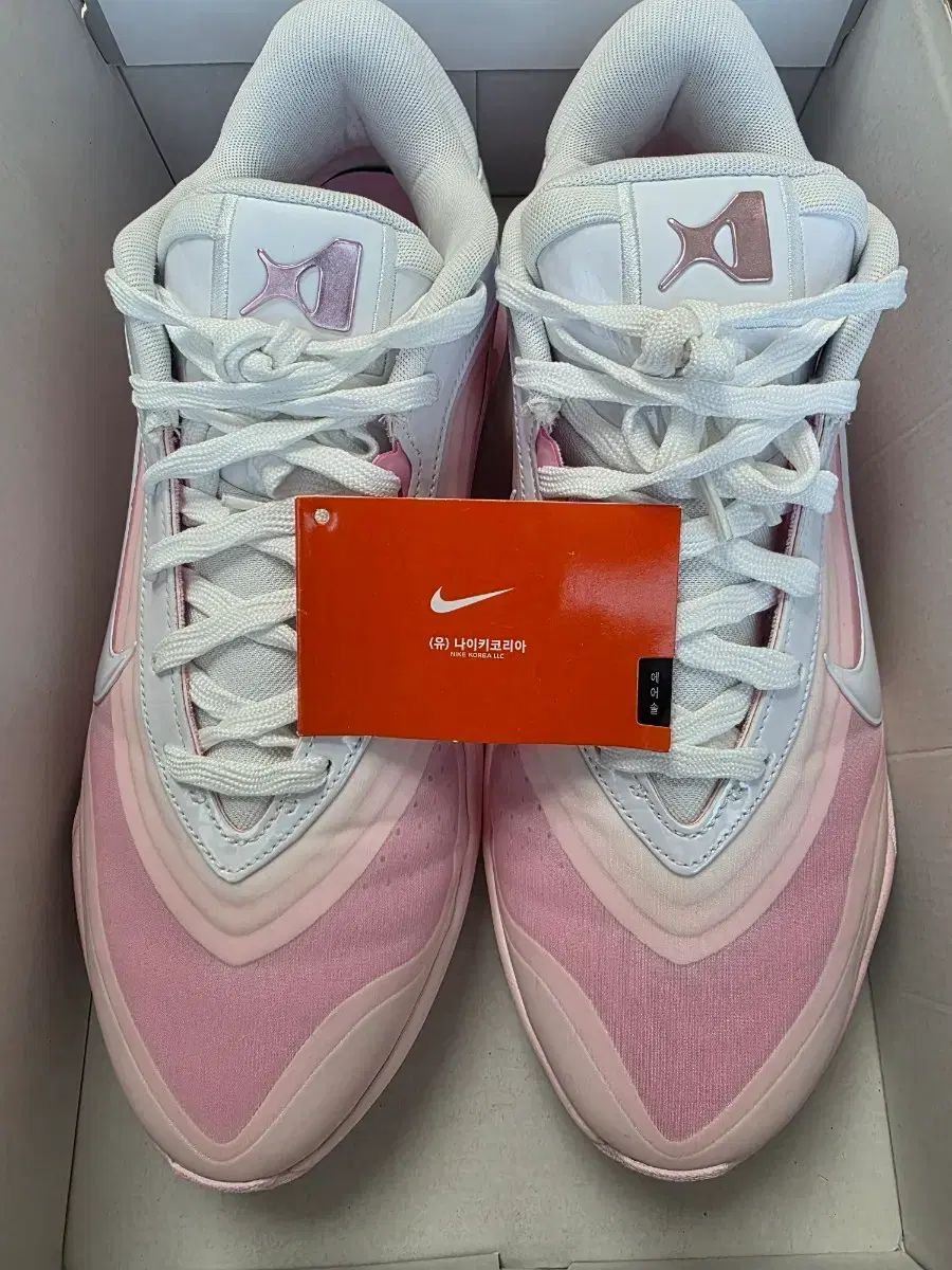 NIKE A'ONE BIRTHDAY CAKE (W285mm)