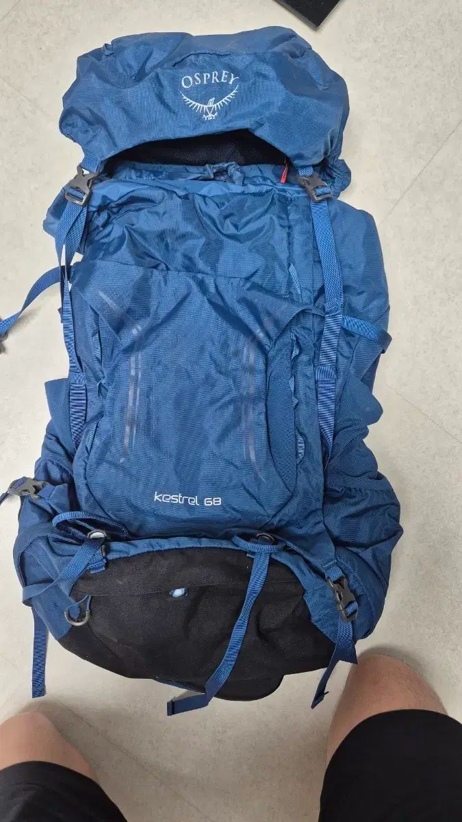 オスプレイ(OSPREY) KESTREL 68 登山 リュックサック ブルー レインCOVER カバー 含む Free! 26,164円