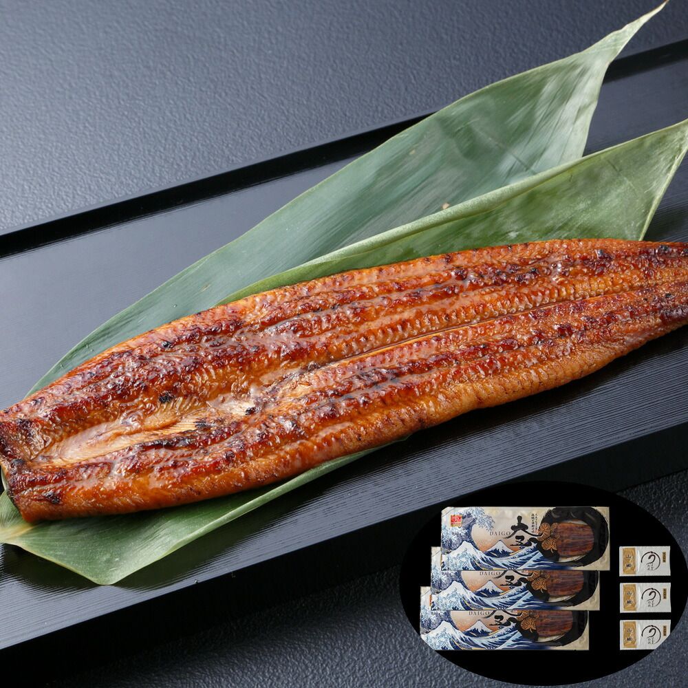 ふっくら肉厚 職人が丁寧に焼き上げた うなぎ問屋の大五鰻蒲焼3尾セット