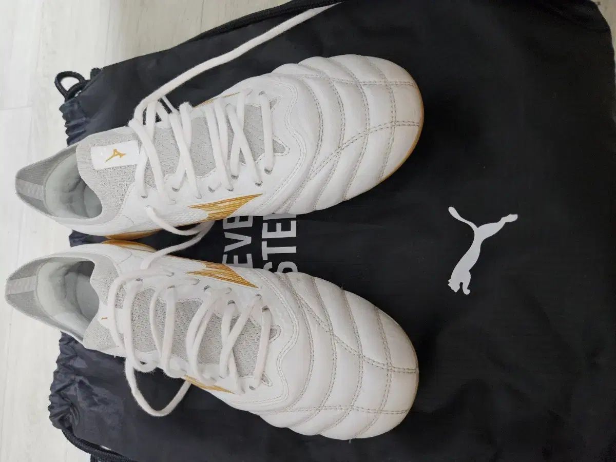 ミズノ サッカーシューズ モレリア NEO ベータ4 エリート 245 21,755円