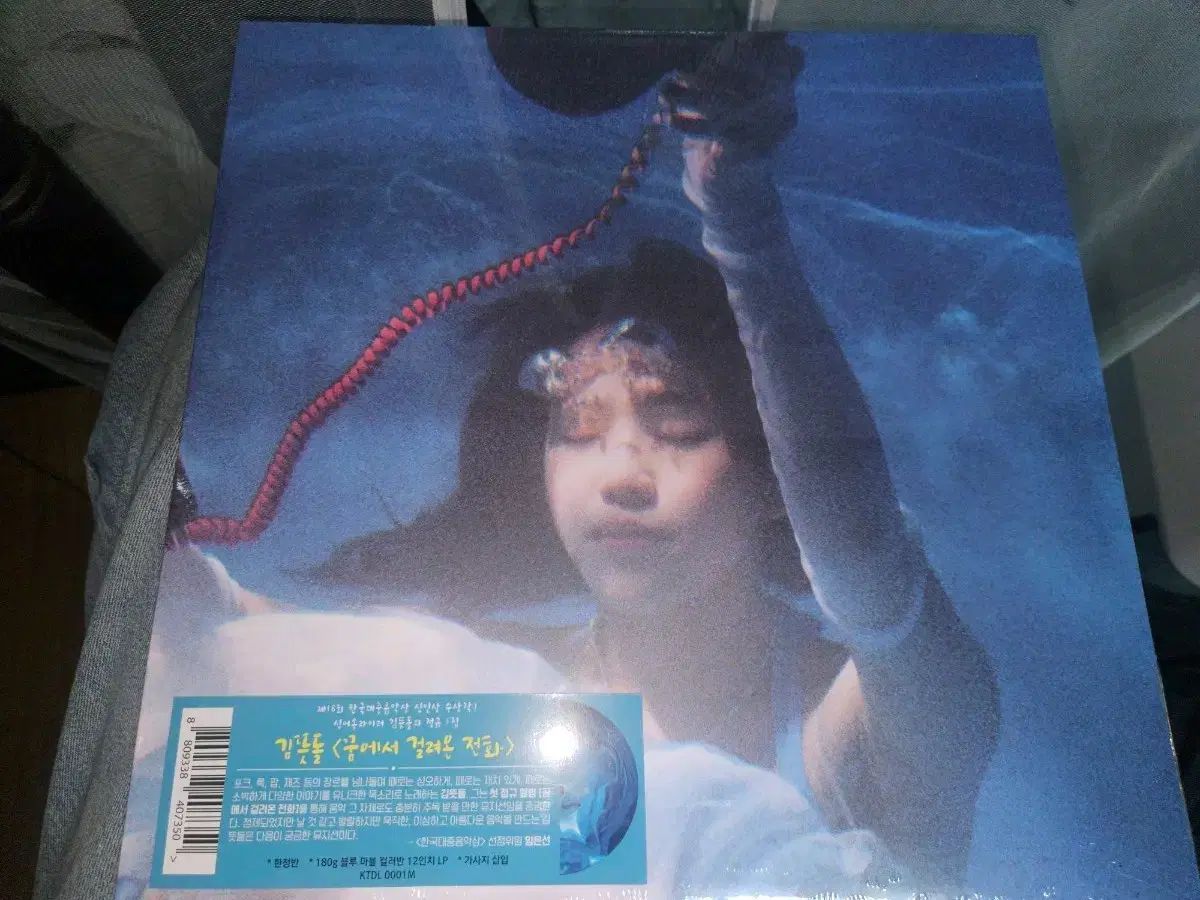 キム・イアンドル 夢の中で 捕まった テレフォニー LP