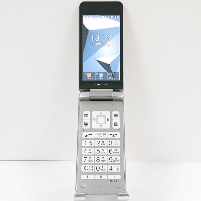 み*ん様 YM3347 アロカシア シンポ アルボ斑入り