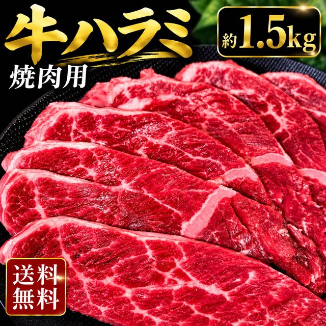 【8日~10日10％OFFクーポン】牛ハラミ約1.5kg(300g×５）真空小分け BBQ 焼肉 牛肉 冷凍 送料無料