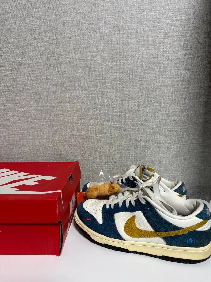260 NIKE ダンク ロー Kasina(カシナ) バス