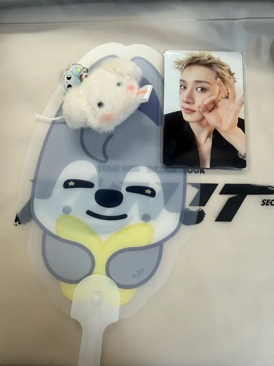 Stray Kids(ストレイキッズ・スキズ・SKZ) コンサート 入場 ギフト ラストコンサート ラスコン 8/2