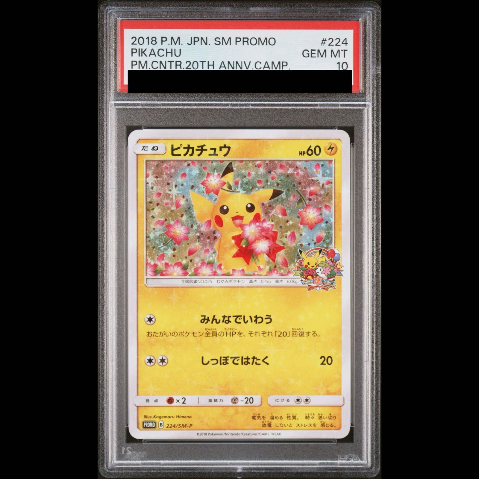 【PSA10】ピカチュウ PROMO 224/SM-P 1枚