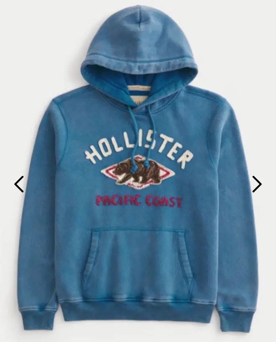 新商品 ホリスター フードTシャツ L