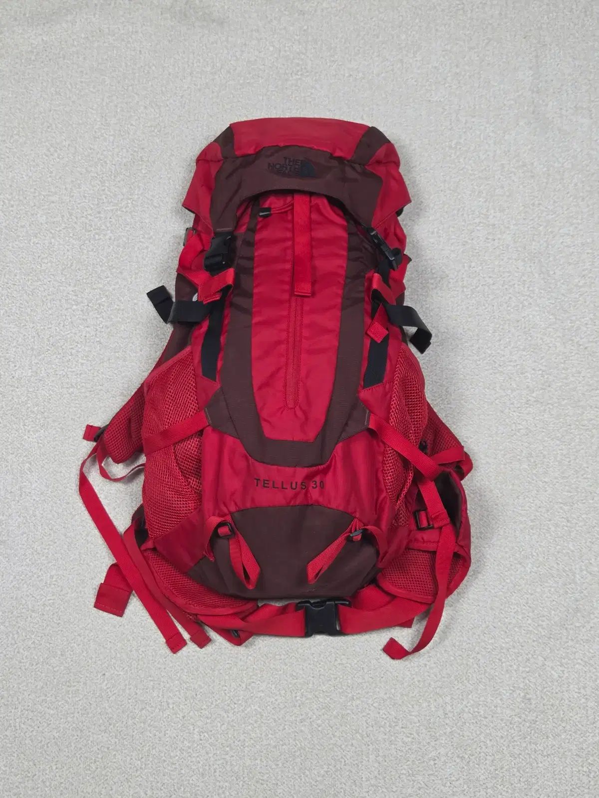 THE NORTH FACE テルス 30 バックパック | G00055
