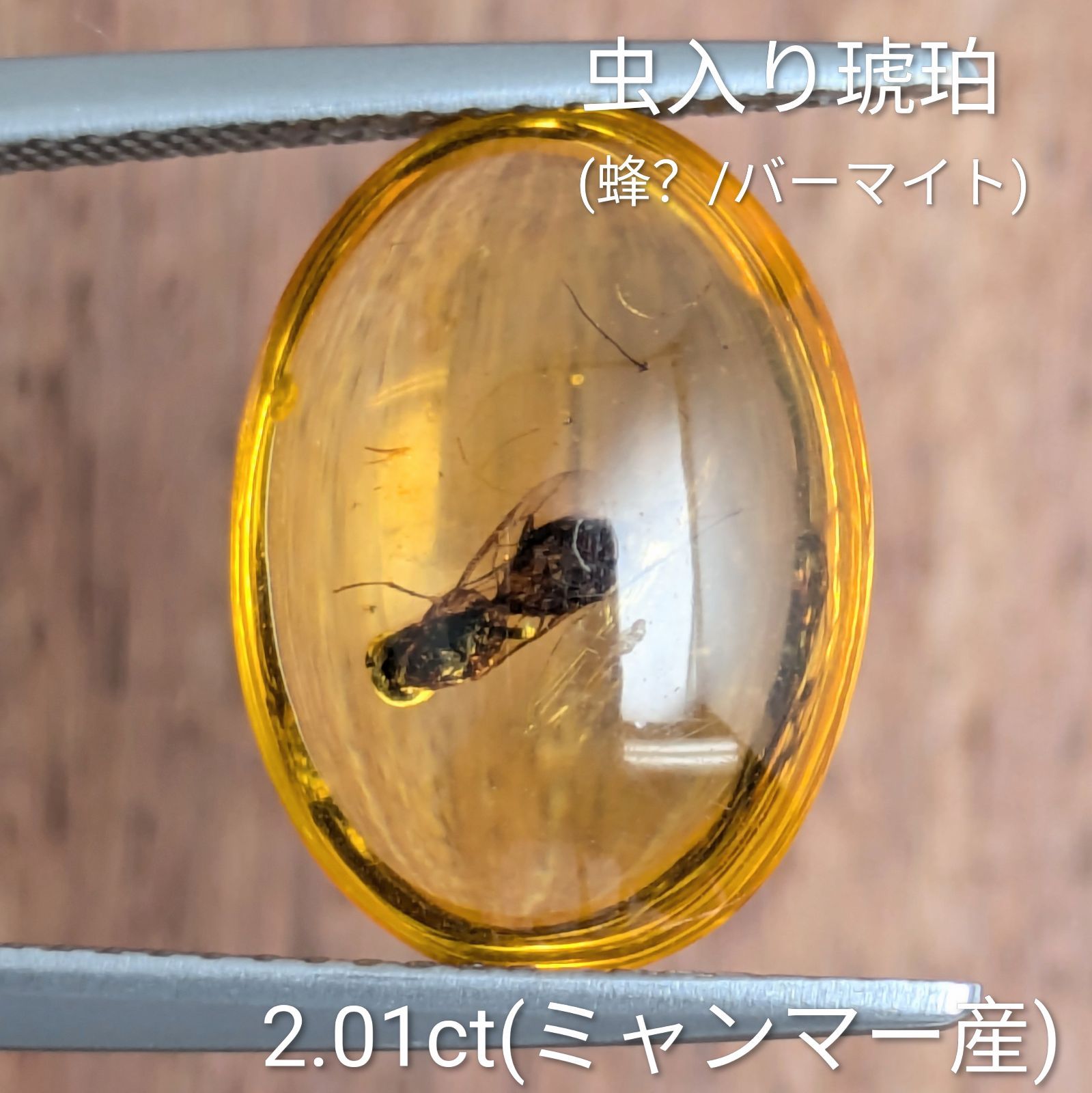 虫入り琥珀（蜂？/バーマイト)ルース ミャンマー産【2.01ct】 PRO207908
